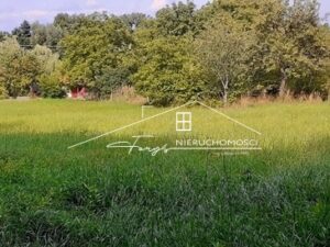 Podkarpackie. Kniażyce. Sprzedaż działek (1200/2609/OGS)
