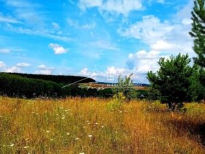 Podkarpackie. Kniażyce. Sprzedaż działek (1263/2609/OGS)
