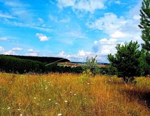 Podkarpackie. Kniażyce. Sprzedaż działek (1263/2609/OGS)