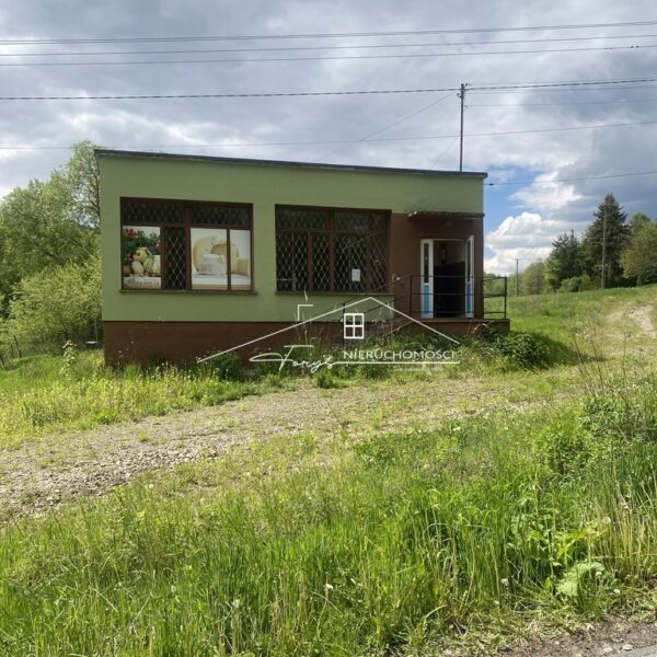 Podkarpackie. Śliwnica. Nieruchomości komercyjne na sprzedaż (179/2609/OOS)
