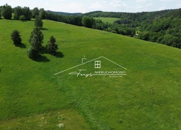 Podkarpackie. Leszczawka. Sprzedaż działek (1286/2609/OGS)