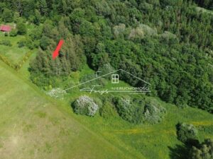 Podkarpackie. Borownica. Sprzedaż działek (1289/2609/OGS)