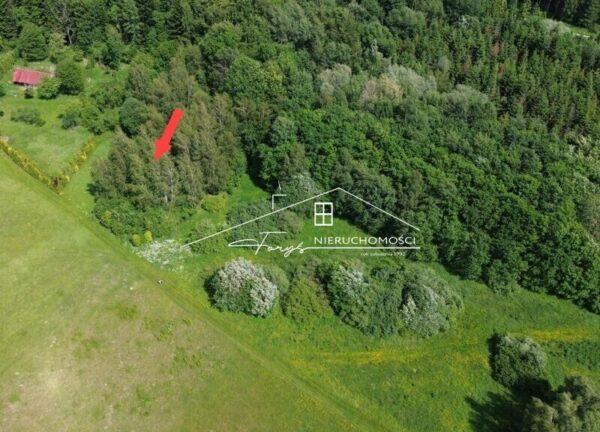 Podkarpackie. Borownica. Sprzedaż działek (1289/2609/OGS)