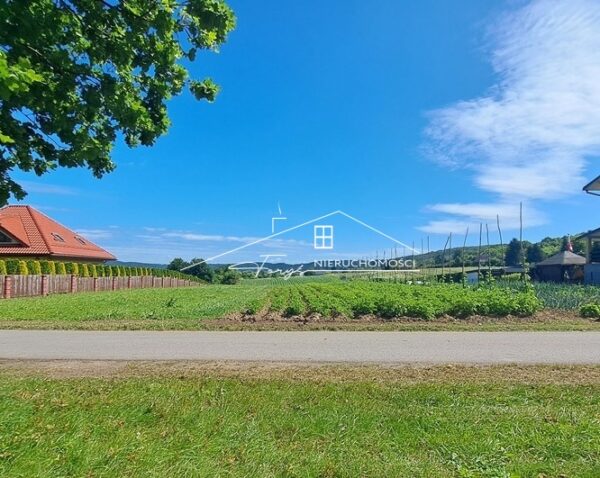 Podkarpackie. Śliwnica. Sprzedaż działek (1290/2609/OGS)