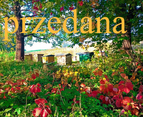 Podkarpackie. Pietrusza Wola. Sprzedaż działek (1243/2609/OGS)