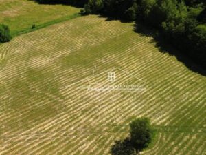 Podkarpackie. Łodzinka Górna. Sprzedaż działek (1293/2609/OGS)