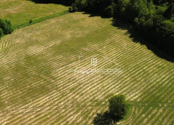 Podkarpackie. Łodzinka Górna. Sprzedaż działek (1293/2609/OGS)