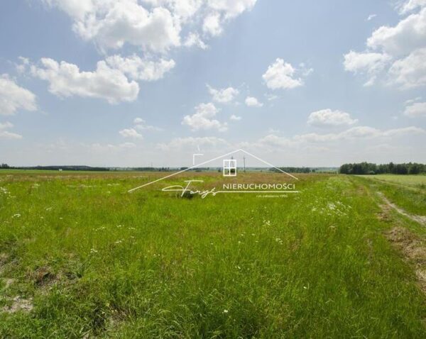 Podkarpackie. Moszczanica. Nieruchomości pod inwestycje (8/2609/OI)