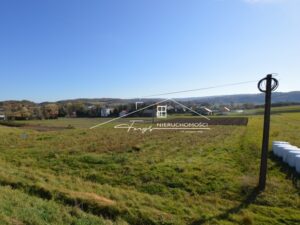 Podkarpackie. Bachórzec. Sprzedaż działek (982/2609/OGS)