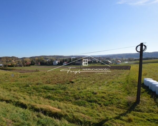 Podkarpackie. Bachórzec. Sprzedaż działek (982/2609/OGS)