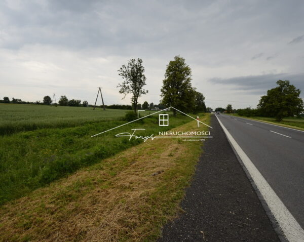 Podkarpackie. Radymno. Sprzedaż działek (1013/2609/OGS)