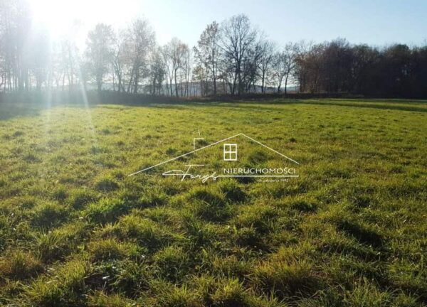 Podkarpackie. Przemyśl. ul. Ludwika Pasteura. Sprzedaż działek (1029/2609/OGS)