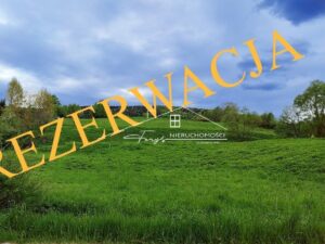 Podkarpackie. Ustrzyki Dolne. Sprzedaż działek (1043/2609/OGS)
