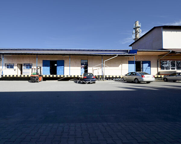 Podkarpackie. Radymno. Nieruchomości komercyjne na wynajem (79/2609/OOW)