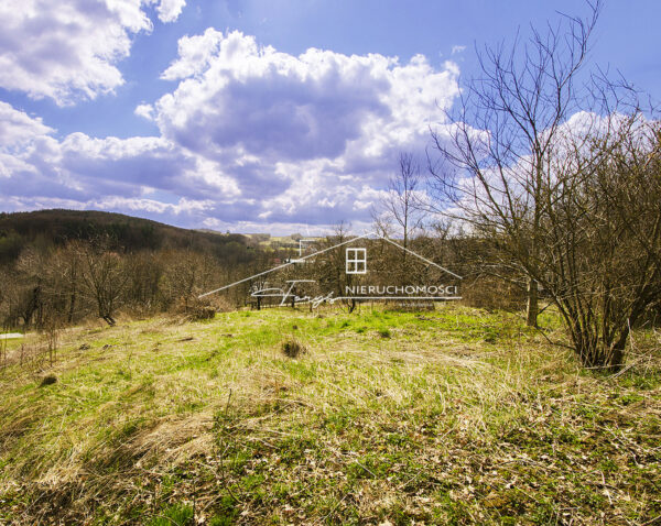 Podkarpackie. Świebodna. Sprzedaż działek (861/2609/OGS)