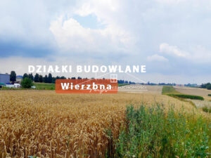 Podkarpackie. Wierzbna. Sprzedaż działek (1188/2609/OGS)