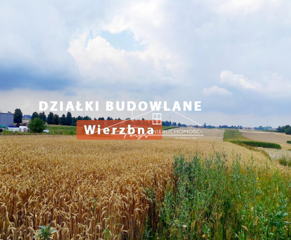 Podkarpackie. Wierzbna. Sprzedaż działek (1188/2609/OGS)