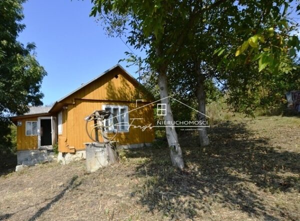 Podkarpackie. Pruchnik. Domy na sprzedaż (1096/2609/ODS)