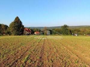 Podkarpackie. Reczpol. Sprzedaż działek (1232/2609/OGS)