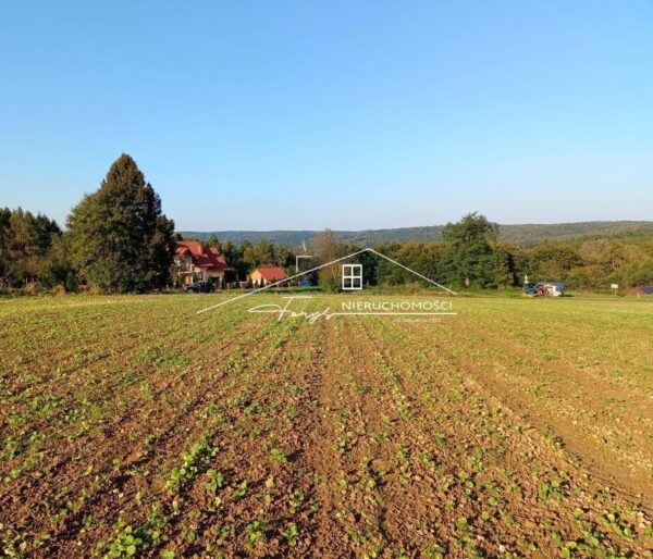 Podkarpackie. Reczpol. Sprzedaż działek (1232/2609/OGS)