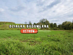 Podkarpackie. Ostrów. Sprzedaż działek (1233/2609/OGS)