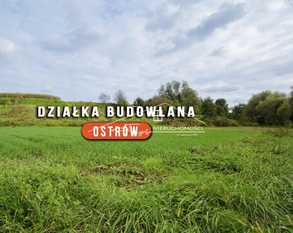 Podkarpackie. Ostrów. Sprzedaż działek (1233/2609/OGS)