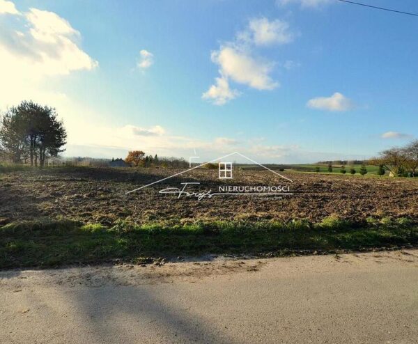 Podkarpackie. Studzian. Sprzedaż działek (1239/2609/OGS)