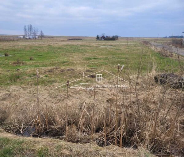 Podkarpackie. Nowy Dzików. Sprzedaż działek (1244/2609/OGS)
