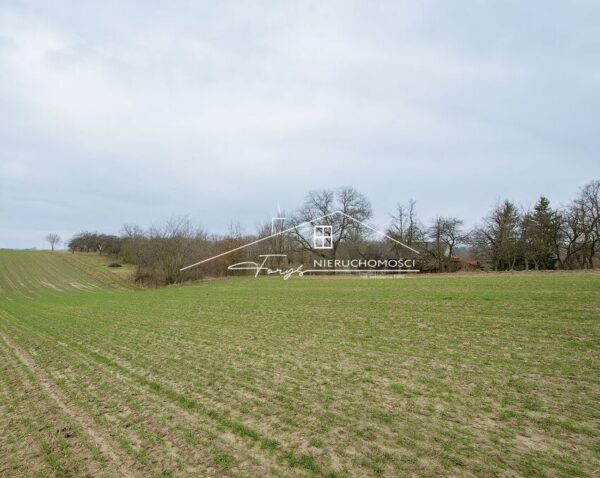 Podkarpackie. Jarosław. ul. Kruhel Pawłosiowski. Sprzedaż działek (1251/2609/OGS)