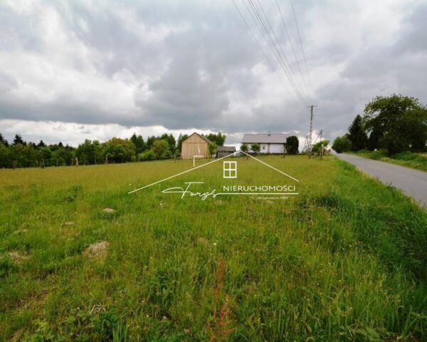 Podkarpackie. Babice. Sprzedaż działek (1256/2609/OGS)