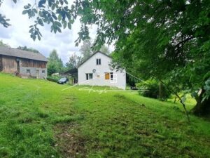 Podkarpackie. Nienadowa. Sprzedaż działek (1260/2609/OGS)