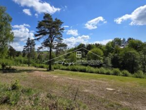 Podkarpackie. Olchowiec. Sprzedaż działek (1298/2609/OGS)