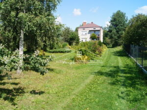 Stary Dzików
